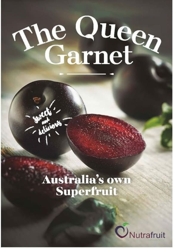 Queen-Garnet-Plum-sydney-superfruit