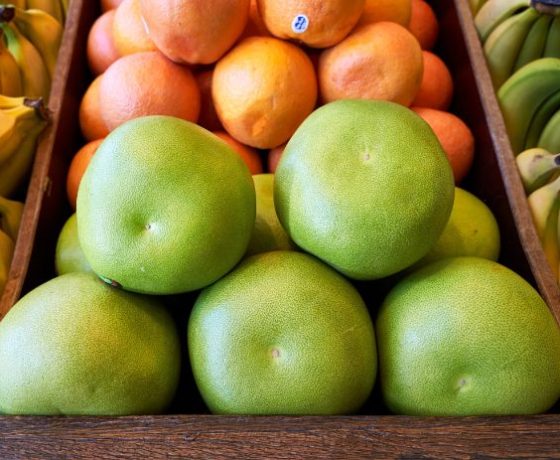 Citrus — The Standard Market Company In Citrus, QLD