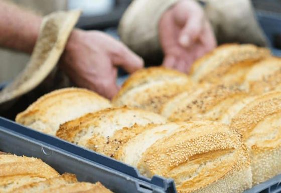 Bread — The Standard Market Company In Newstead, QLD